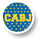 Boca Juniors (Argentina) Soccer Gears