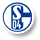Schalke 04 Soccer Gears