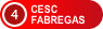Cesc Fabregas